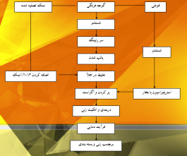 رب گوجه فرنگی